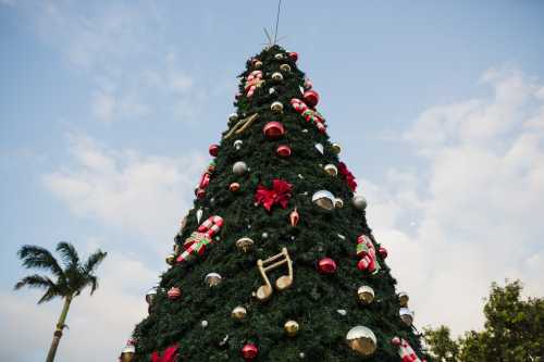 New Caledonia Unwraps Tropical Magic with ‘Celedonian Xmas’