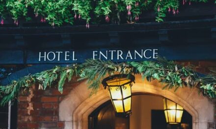 Christmas Travel Triggers Shift to Bed Bug-Safe Hotels