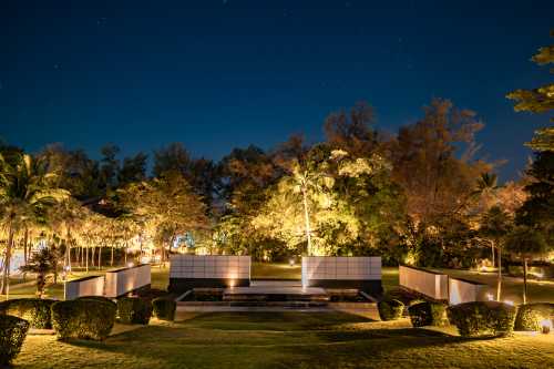 Coliseum Garden Night