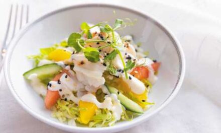 Regent Seven Seas Unveils 2026–27 Navigate Seasons