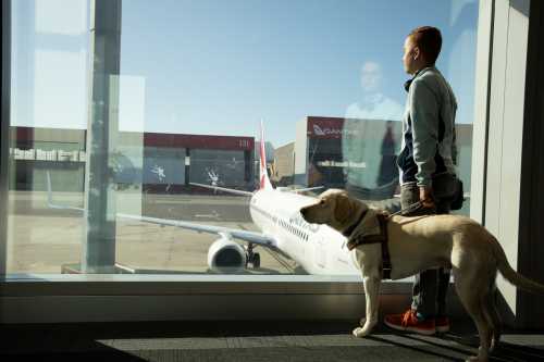 Aviation Urged to Lift Game for Blind Travellers