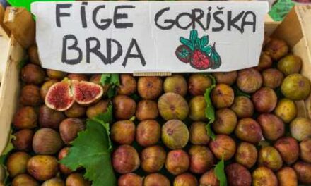 Unforgettable Croatia Adds Luxe Land Tours to Iconic Cruises