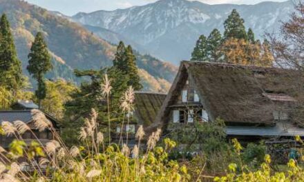 Inside Travel Hits Record Growth While Taking on Overtourism