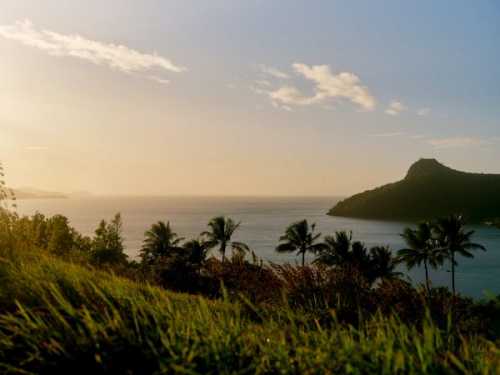 Hamilton Island Steals the Spotlight for 2025 Getaways