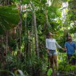 Tropical North Queensland Smashes Records as Global Spend Soars