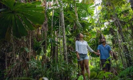 Tropical North Queensland Smashes Records as Global Spend Soars