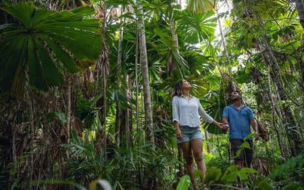 Tropical North Queensland Smashes Records as Global Spend Soars