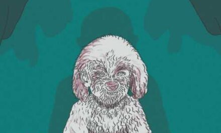 Pets as Kids? Study Reveals Who Really Spoils Them Most