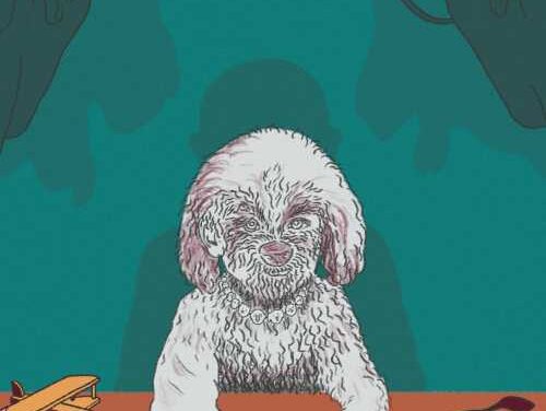 Pets as Kids? Study Reveals Who Really Spoils Them Most