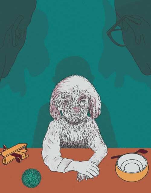 Pets as Kids? Study Reveals Who Really Spoils Them Most