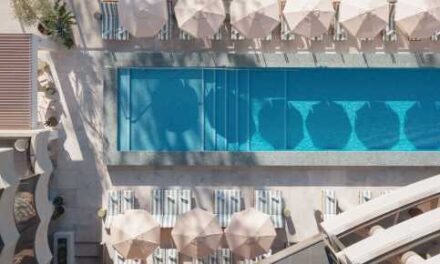 Cool Off This Summer With a Splash of Sea Museum Magic