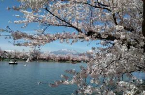 NAGANO - Suzaka Garyu Park _ Nagano Tourism Organization