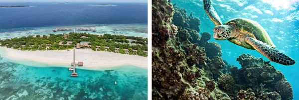 Noku Maldives Launches Sea Turtle Conservation Partnership