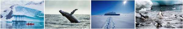POLAR AND MARINE RESEARCH EXPERIENCES