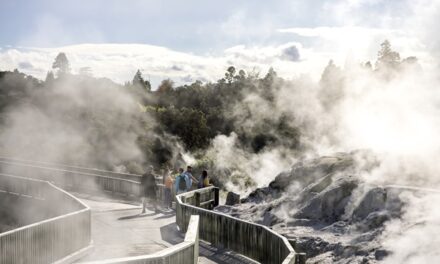 Why New Zealand 2026 Is Travel’s Brightest Star