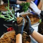 Wake Up to Wellness: JW × Technogym’s New Morning Ritual