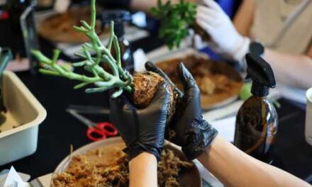 Wake Up to Wellness: JW × Technogym’s New Morning Ritual