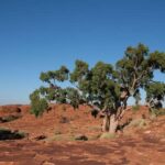 Under the Outback Stars, Tourism Sustainability Gets Real