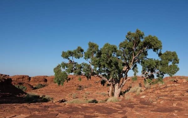 Under the Outback Stars, Tourism Sustainability Gets Real