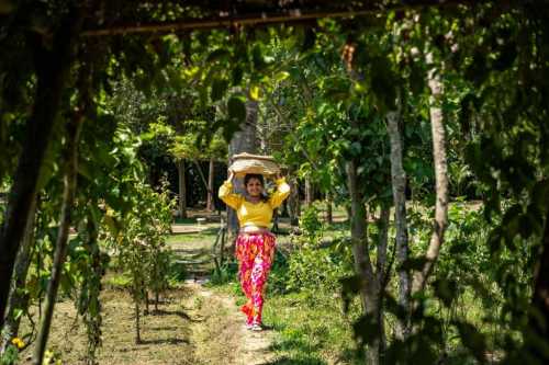 World Expeditions Unveils Luxe Sri Lanka Culture & Cuisine Tour
