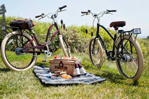 accommodations_Bodega_Bay_Lodge_picnic_Sonoma_County_003