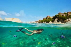 ncl-tortola-virgingorda-snorkeling-b-6210