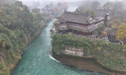 Celebrate New Year in Chengdu Like a True Local