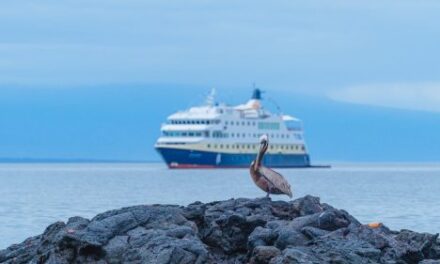 Galápagos: Witness Evolution in Action