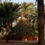 Desert X AlUla 2026 Opens Monumental Land Art Oasis