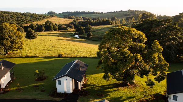 Beechmont Estate Earns Ecotourism Australia ECO Certification