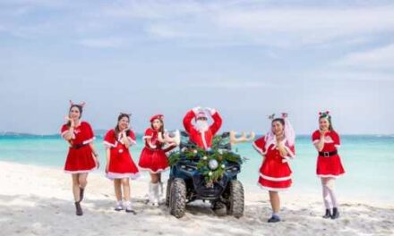 Festive Cheer by the Sea at Salt Society’s Christmas Brunch