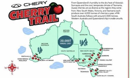 Chery Cherry Trails Revive Australia’s Summer Road Trips