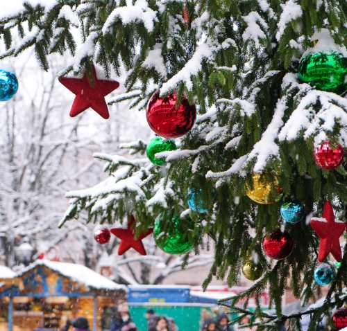 Cruise Traveller Launches Festive 2026 Europe River Cruise