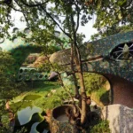 Aussie Tiny Home Earns Spot on Airbnb’s Global Most Loved List