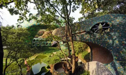 Aussie Tiny Home Earns Spot on Airbnb’s Global Most Loved List