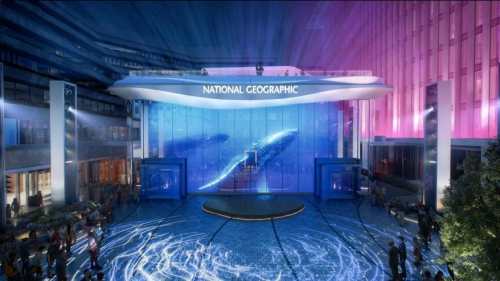 Credit - National Geographic Museum of Exploration