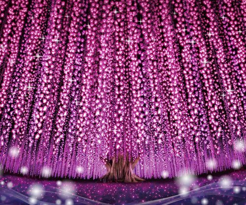 Discover Japan’s Dazzling Winter Lights with TOBU’s Digital Ashikaga Flower Park Illumination Ticket