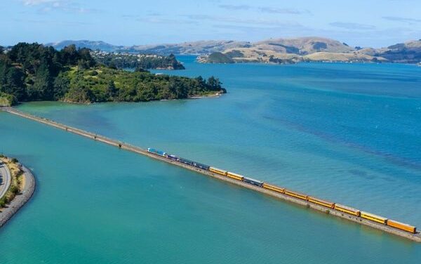 Dunedin’s Summer 2026 Revival Puts the City Back on Track