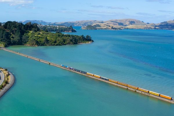 Dunedin’s Summer 2026 Revival Puts the City Back on Track