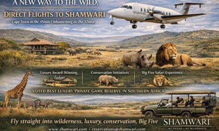 Shamwari Takes Flight with Private Safari Air Shuttle