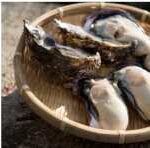 Unlock “The Gift of Experience” in Setouchi, Japan