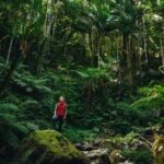 Doctor’s Orders: Take a Great Walk in Nature in 2026