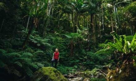 Doctor’s Orders: Take a Great Walk in Nature in 2026