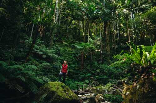 Doctor’s Orders: Take a Great Walk in Nature in 2026