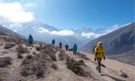 Intrepid Appoints GM to Lead New Climate Department