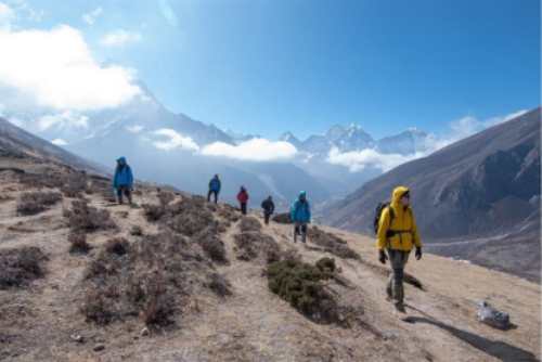 Intrepid Appoints GM to Lead New Climate Department