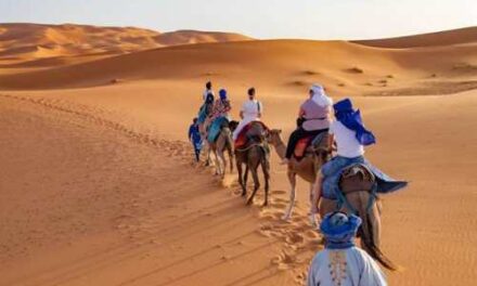 Intrepid Travel’s New Year Sale: Save Up to 20% Worldwide