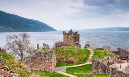 Airbnb Reveals Five Travel Trends Set to Shape 2026