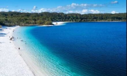 SeaLink Sails Travellers to Australia’s Best Island Beaches