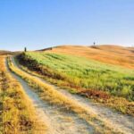 Solo Travel Deals: Save on Just You Tours to India & Tuscany